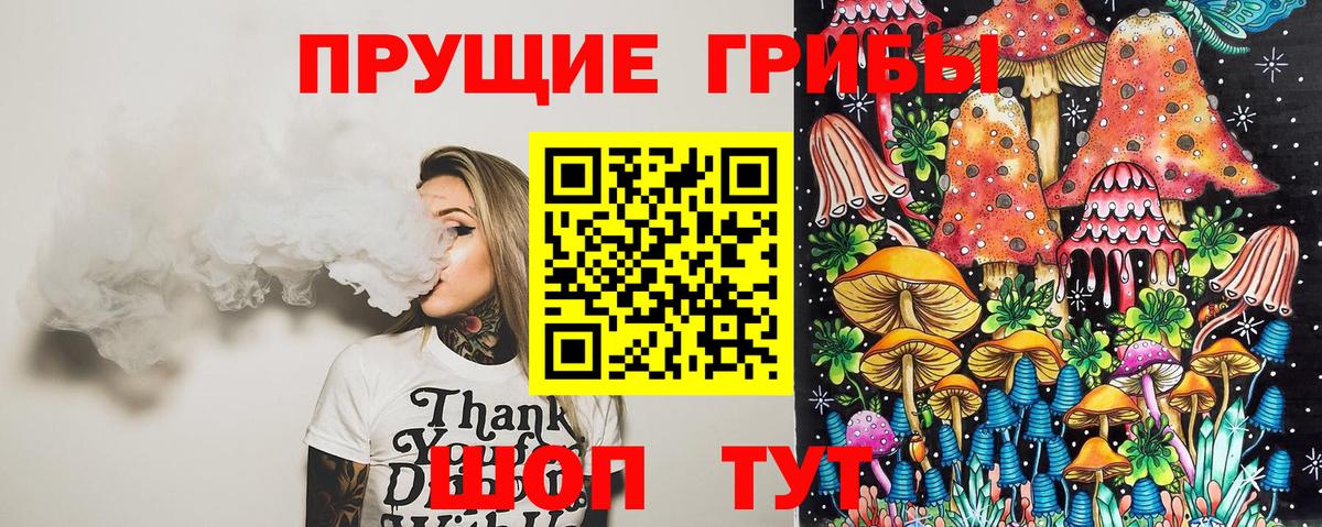 Галлюциногенные грибы Psilocybine cubensis Назарово