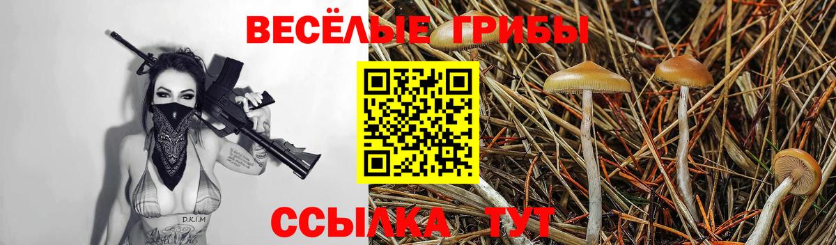 дарнет шоп  Вход с VPN  Назарово  Галлюциногенные грибы ЛСД 